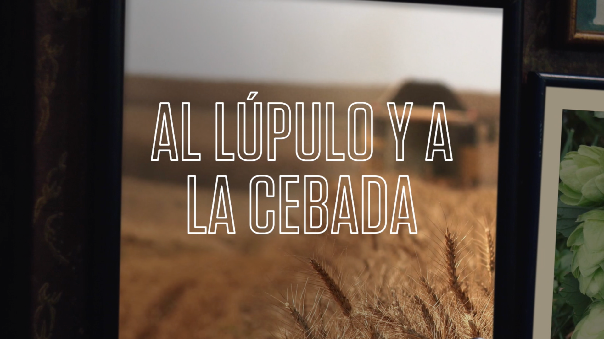 Lúpulo y cebada