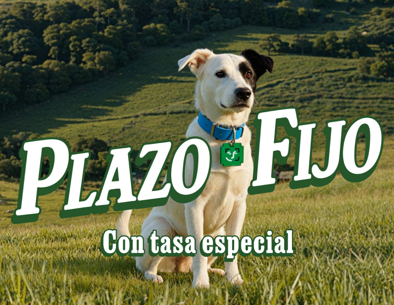 Ahora Cuenta DNI tiene plazo fijo.